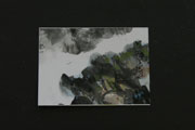 ACEO-L0257 Canyon View with a Bird