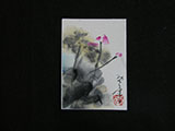 ACEO-F0511 Vertical Lotus Composition I