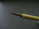 LeafVein Brush