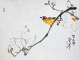 HN0017 Magnolia with Acacia Sparrow