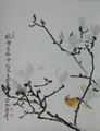 HN0022 Colorful Acacia Sparrow on Sumi Magnolia Branch