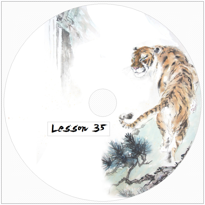 DVD-Lesson-35_L.jpg