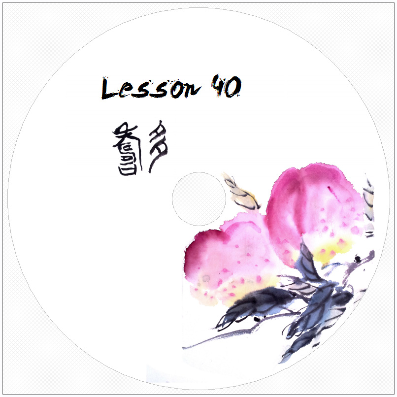 DVD-Lesson_40_L.jpg