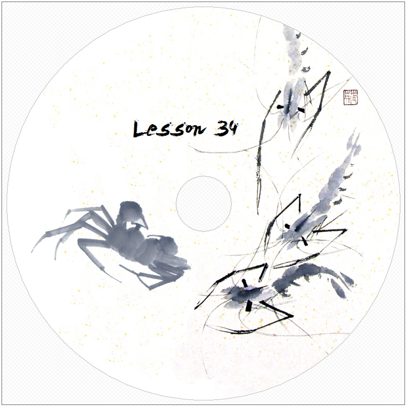 Lesson_34_DVD_L.jpg