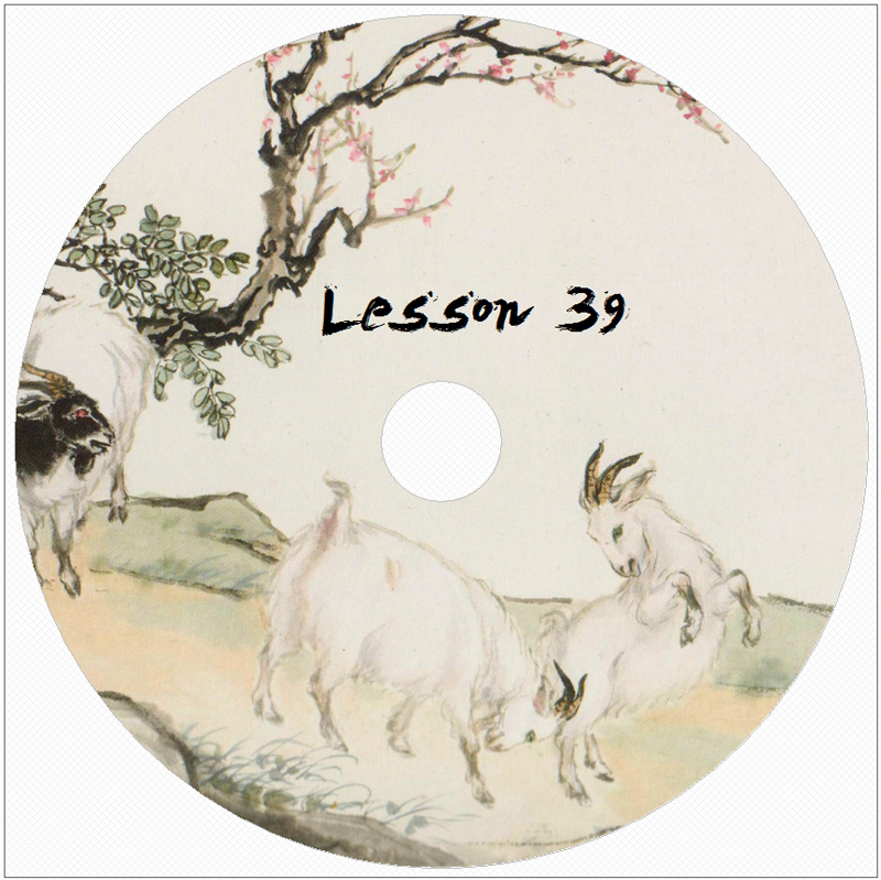 Lesson_39_DVD_L.jpg
