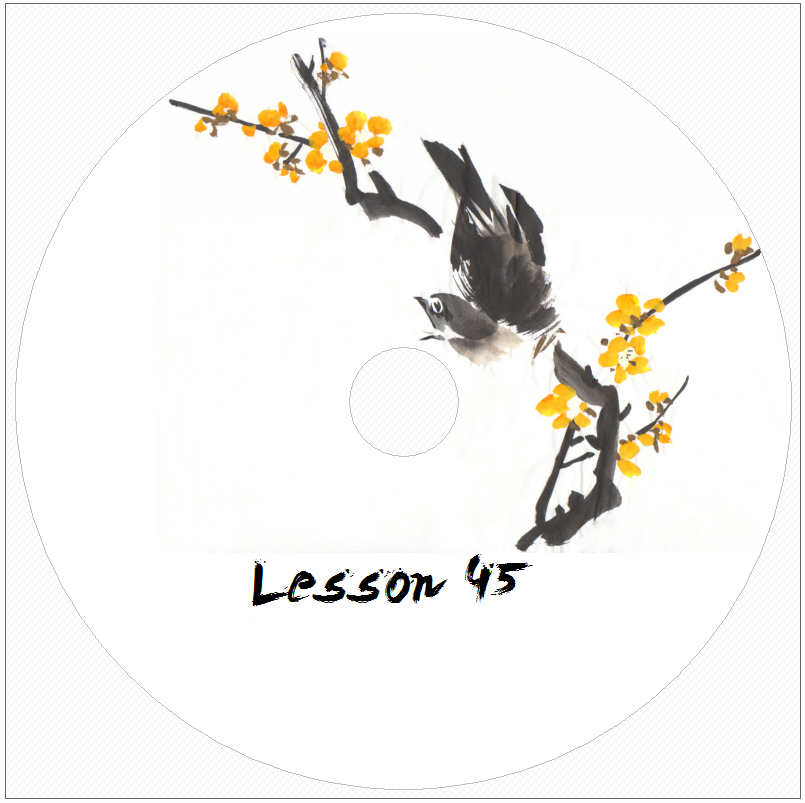 Lesson_45_DVD_L.jpg