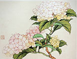 Recording of Hydrangea Gongbi Painting Workshop DOWNLOAD