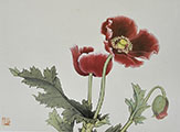 Poppy Flowers Gongbi Painting Workshop with Victoria Li (recording)