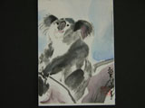 ACEO-A0008 Koala Sitting in a Gum Tree