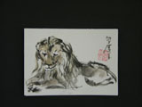 ACEO-A0011 A Lying Lion