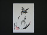ACEO-A0019 Siamese Kitten