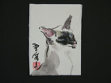 ACEO-A0022 Siamese Cat