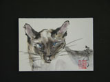 ACEO-A0024 Siamese Cat