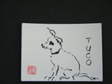 ACEO-A0030 Tuco the Chihuahua
