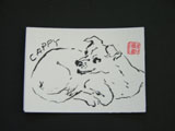 ACEO-A0032 Cappy Chihuahua Mix