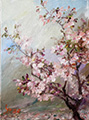 Blooming Cherry Plein Air Painting Oil on Canvas 9x12