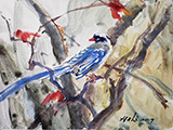 Red-billed Blue Magpie on Maple (2019)