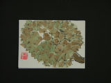 ACEO-V0005 Durian