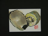 ACEO-V0006  Golden Kiwi Fruits