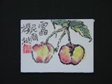 ACEO-V0007 Rainier Cherries
