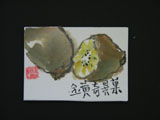 ACEO-V0008 Golden Kiwifruits