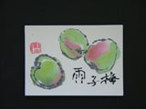 ACEO-V0015 Green Plum or Ume