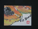ACEO-V0021 Papaya
