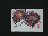 ACEO-V0024  Rambutan