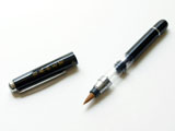 Portable Piston Fountain Brush Pen Synthetic Hair(S)