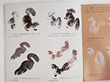 Painting Squirrels Step-by-step with Henry Li(Zoom recording)