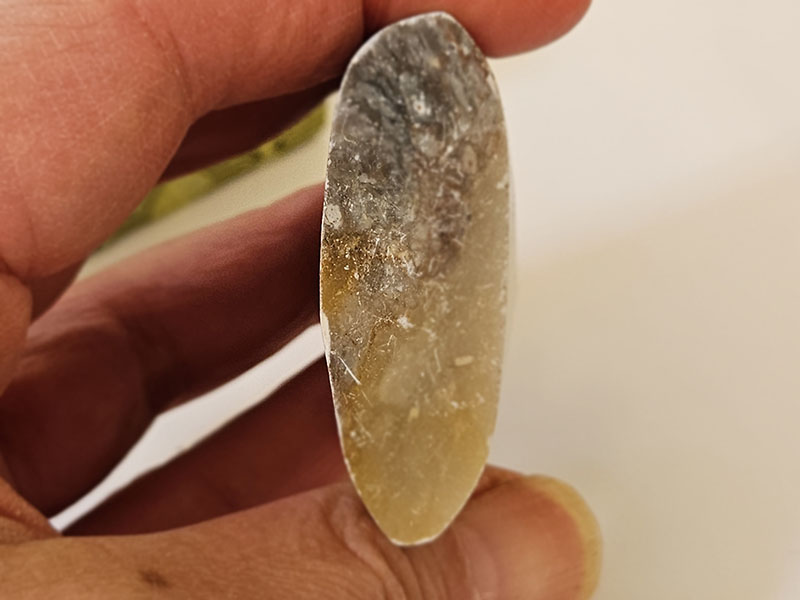 20251031_140640_L.jpg 20251031_140640_L.jpg