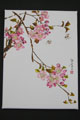 CAHN0027 Apricot Flower I