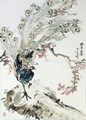 DSCN8747A_S.jpg