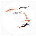 Lesson 41: Koi Pond(DVD)