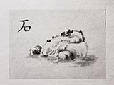 chinese_painting_paper/20200709_170658_S.jpg