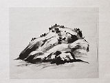 chinese_painting_paper/20200709_171451_S.jpg