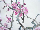 chinese_painting_paper/DSCN5347_S.jpg