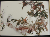 chinese_painting_paper/DSCN7155_S.jpg