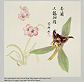 dvd_and_books//Artful_Orchids_2024_4_S.jpg