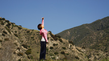 dvd_and_books/DVD_Qigong03_S.jpg