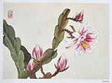 Epiphyllum Gongbi Painting Workshop with Victoria 0715