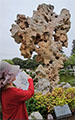 Recording of Taihu or Chinese Scholar's Rock Painting Class with Victoria