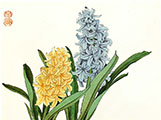 Hyacinths Gongbi Painting Workshop with Victoria Li on April 16, 2024