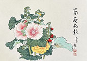dvd_and_books/Image_20250513162135_S.jpg