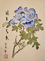 dvd_and_books//blue_peony_S.jpg