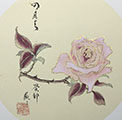 dvd_and_books/golden_card1_S.jpg