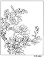 22 Gongbi Rose Templates(downloadable)