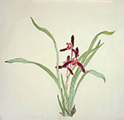 Recording of Cymbidium Orchid Gongbi Painting Workshop with Victoria