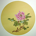 dvd_and_books//pink_peony_on_silk_S.jpg