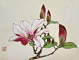 Purple Magnolia Gongbi Painting Workshop with Victoria Li Recording